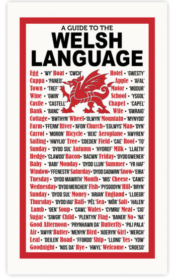 A Guide to the Welsh Language Tea Towel